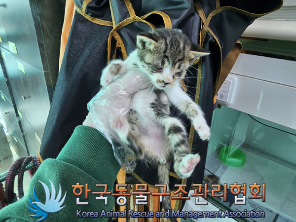종료(자연사) 한국…